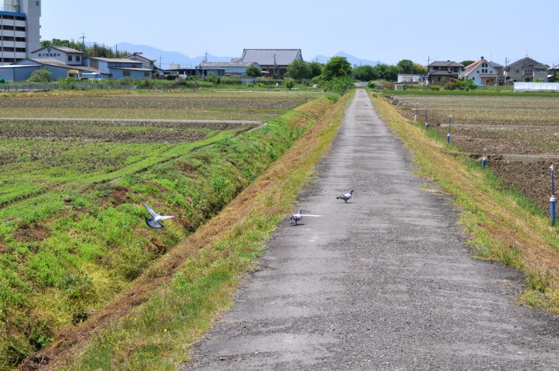 農水省 農道総延長17万㎞ R5年整備状況調査結果